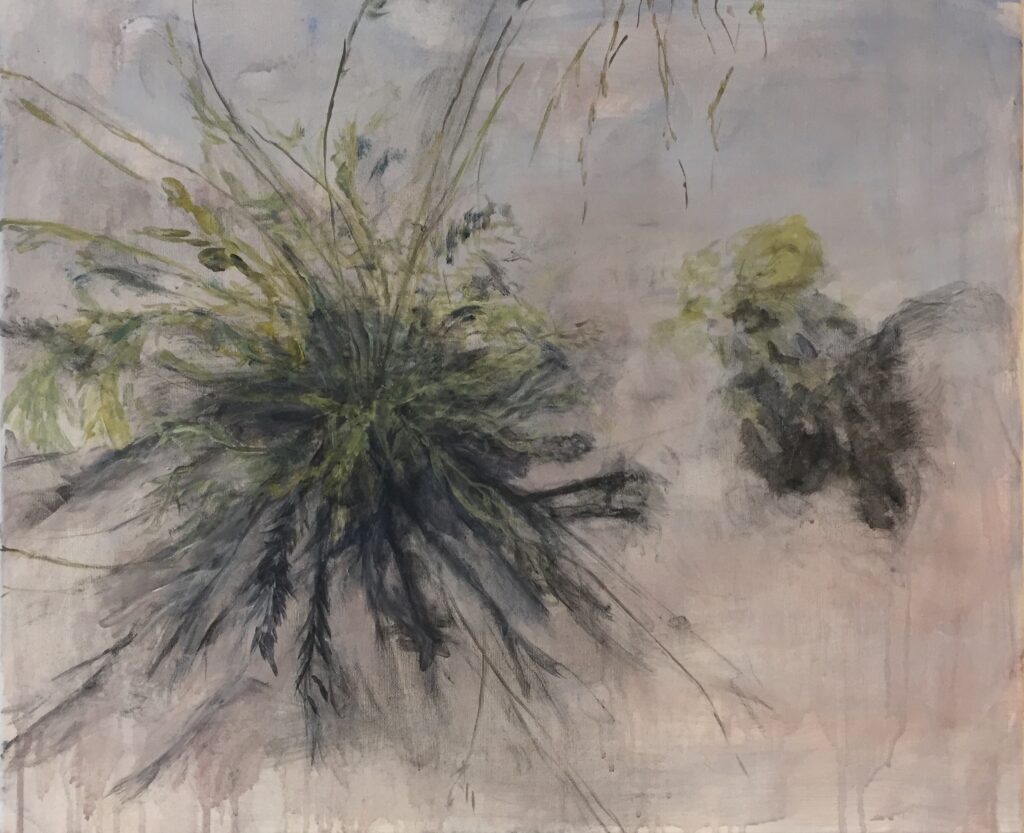 Bente R. Andersen, Lokation med plante, 40 x 50